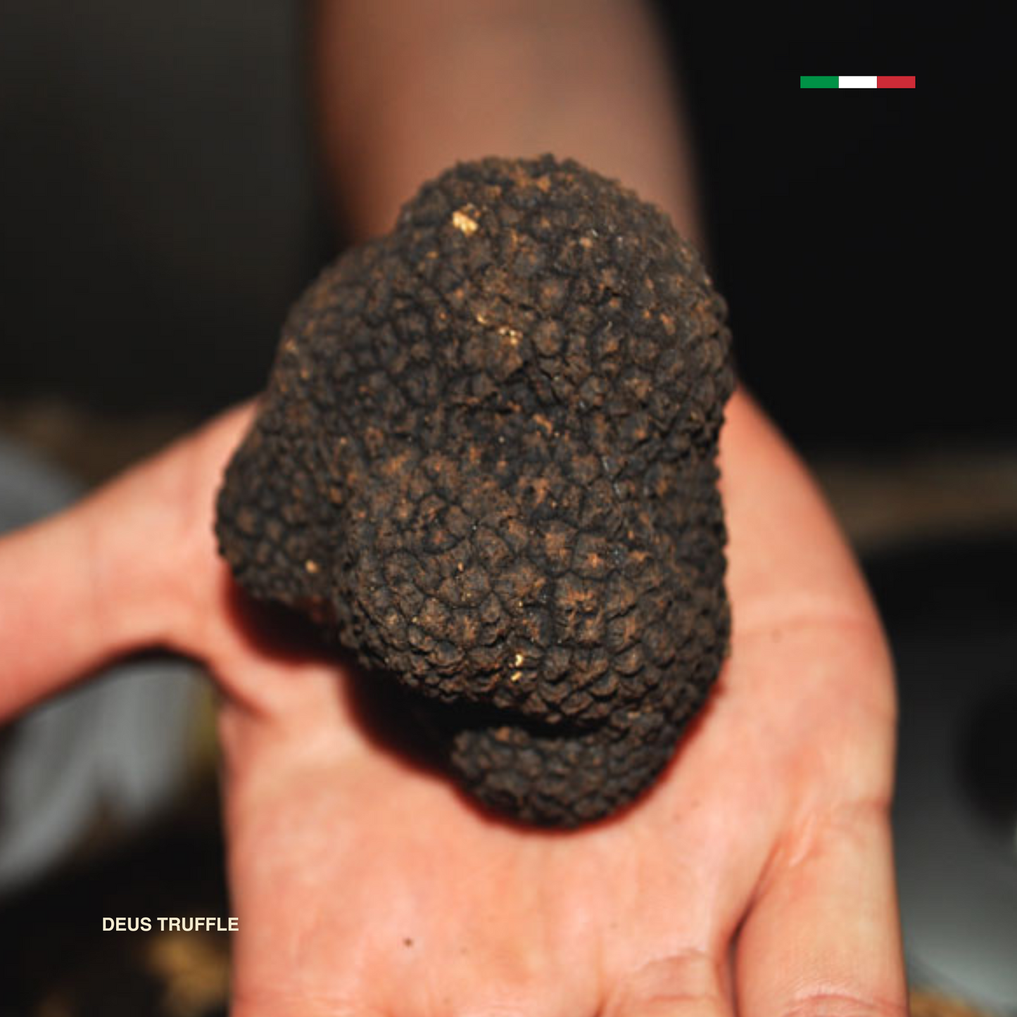Tartufo Nero di Bagnoli Fresco (Tuber Mesentericum)