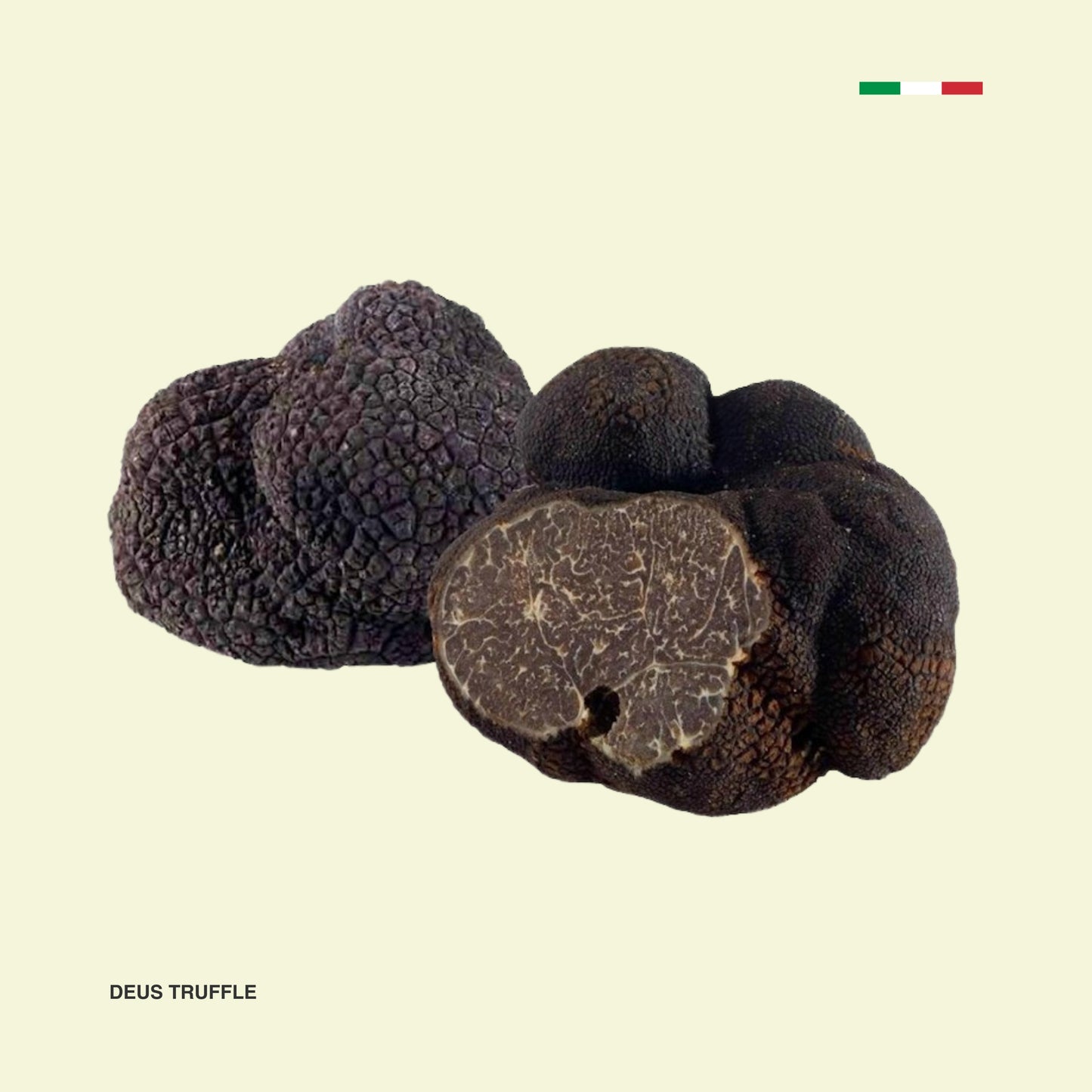 Tartufo Nero Pregiato Fresco (Tuber Melanosporum)