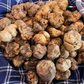 Truffe Bianchetto Fraîche (Tuber Albidum Pico)