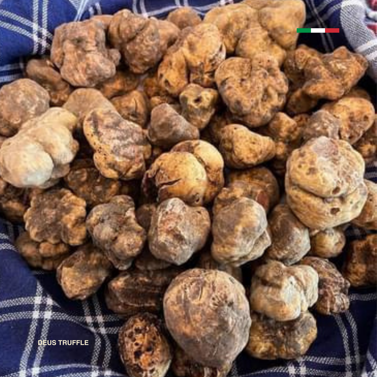 Tartufo Bianco Pregiato Fresco (Tuber Magnatum Pico)