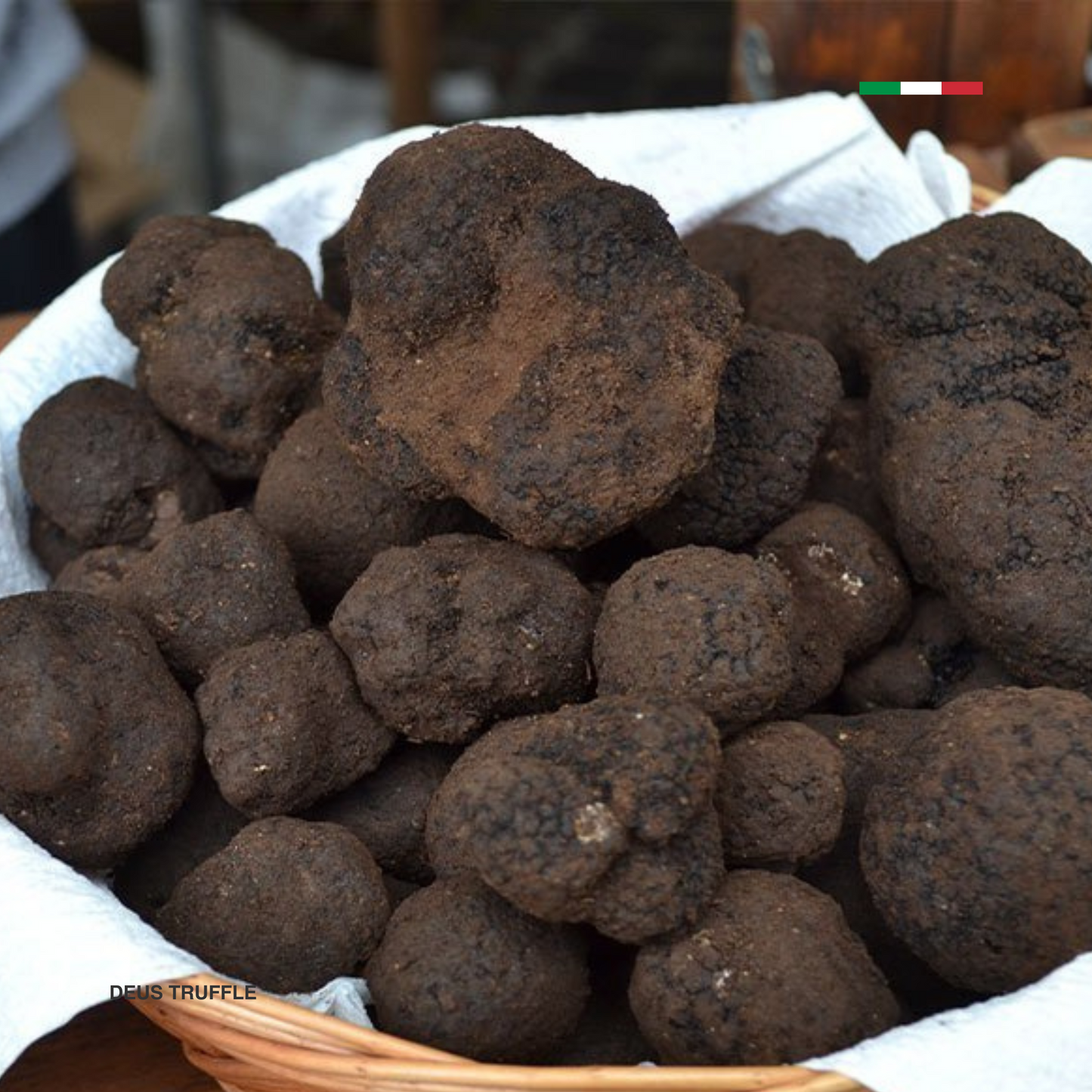 Frischer Bagnoli-Schwarztrüffel (Tuber Mesentericum)