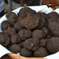 Frischer schwarzer Trüffel (Tuber Melanosporum)