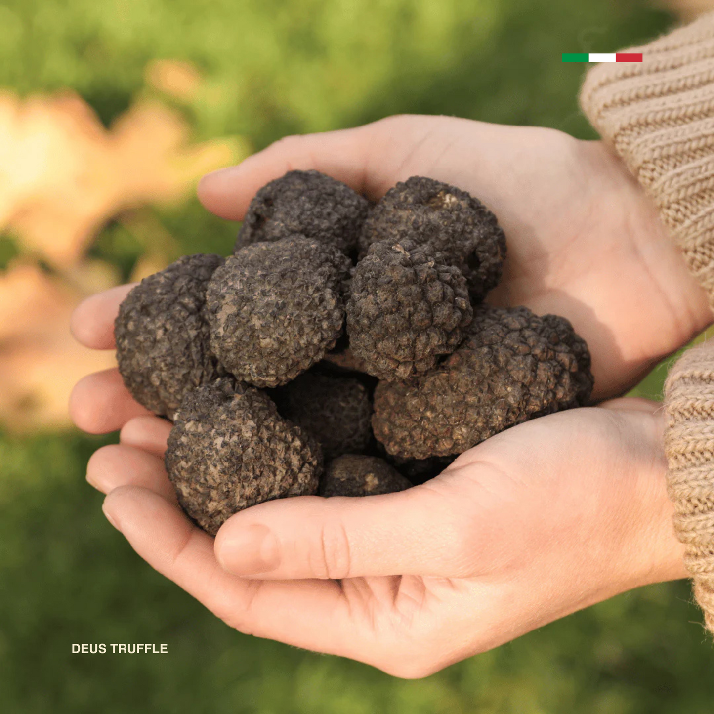 Trufa Negra Fresca de Invierno (Tuber Uncinatum)