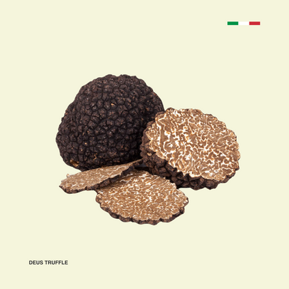 Trufa Negra Fresca de Invierno (Tuber Uncinatum)