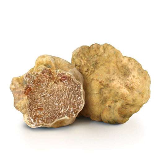 Tartufo Bianco Pregiato Fresco (Tuber Magnatum Pico)