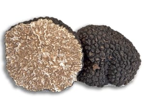 Fresh Black Truffle (Tuber Melanosporum)